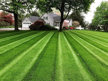 Aeration & Overseeding: Why Your Lawn Needs It for Maximum Growth