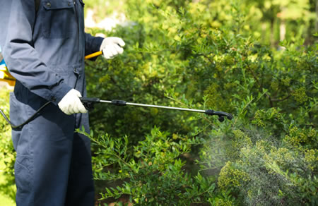 Don’t Let Drought and Winter Weather Damage Your Landscape