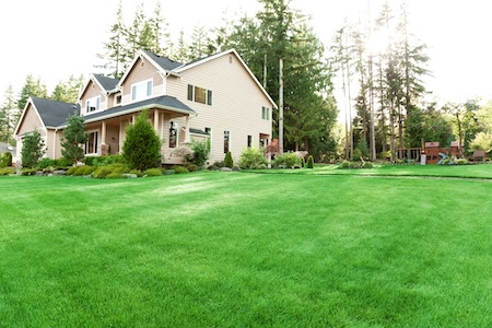 Lawn Care in Shelton, CT: A Month-by-Month Plan for a Thick, Weed-Free Lawn Thumbnail