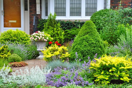 Seasonal Plant Guide: Choosing the Right Plants for the Right Place and Time