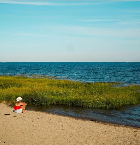 Tick Control in Stratford & Lordship, CT: What to Do After a High-Tick Year Thumbnail