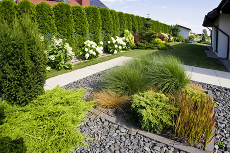 Transform Your Outdoor Space with Expert Landscaping Services