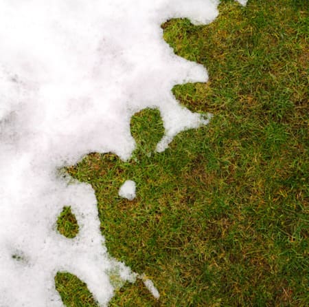 When Should Milford Homeowners Start Planning Spring Lawn Care?