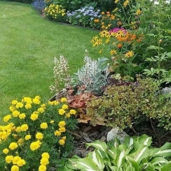 Planting Design & Installation