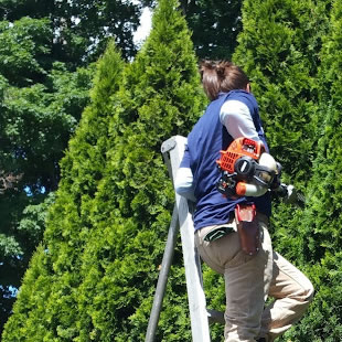 Residential Property Maintenance