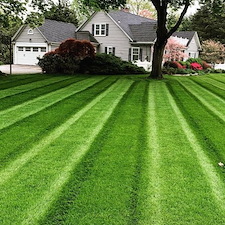 Lawn Services Thumbnail