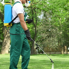 Plant Health Care & Tick Control Thumb