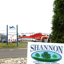 Commercial-Privacy-Planting-Project-at-Stratford-Airport 5