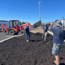 Commercial-Privacy-Planting-Project-at-Stratford-Airport 2