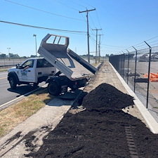 Commercial-Privacy-Planting-Project-at-Stratford-Airport 1