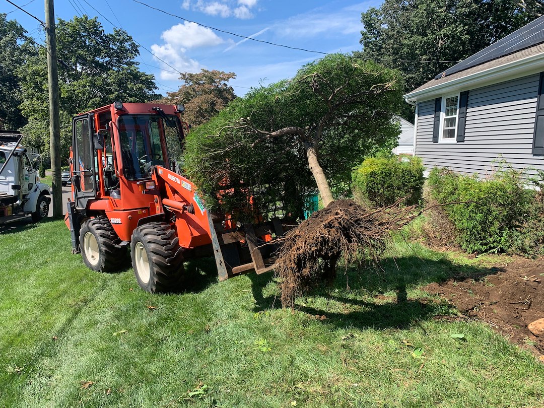 Landscape Design & Installation Plus Irrigation & Overseeding in Stratford, CT