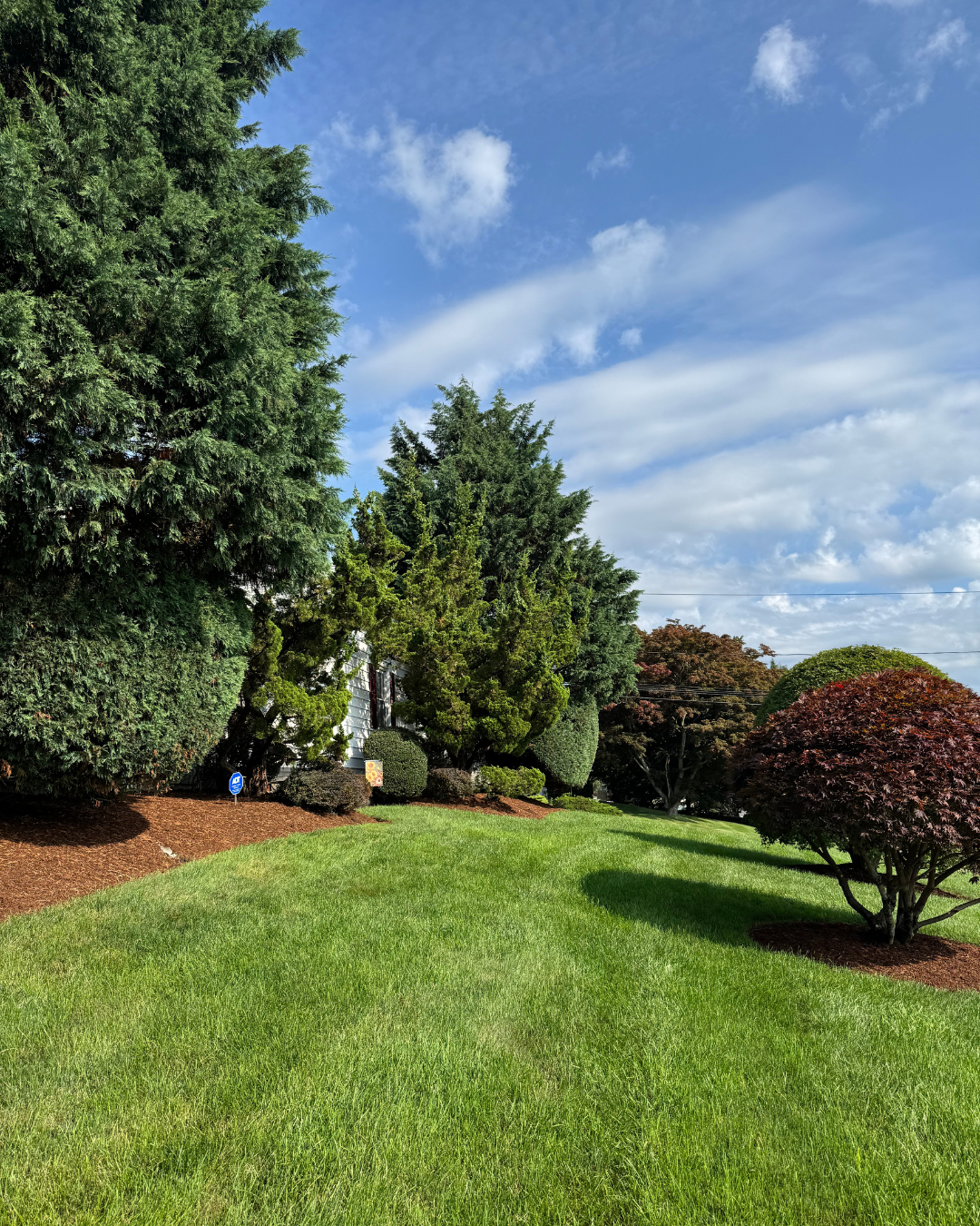 Pruning, Weeding & Mulch Installation in Stratford, CT