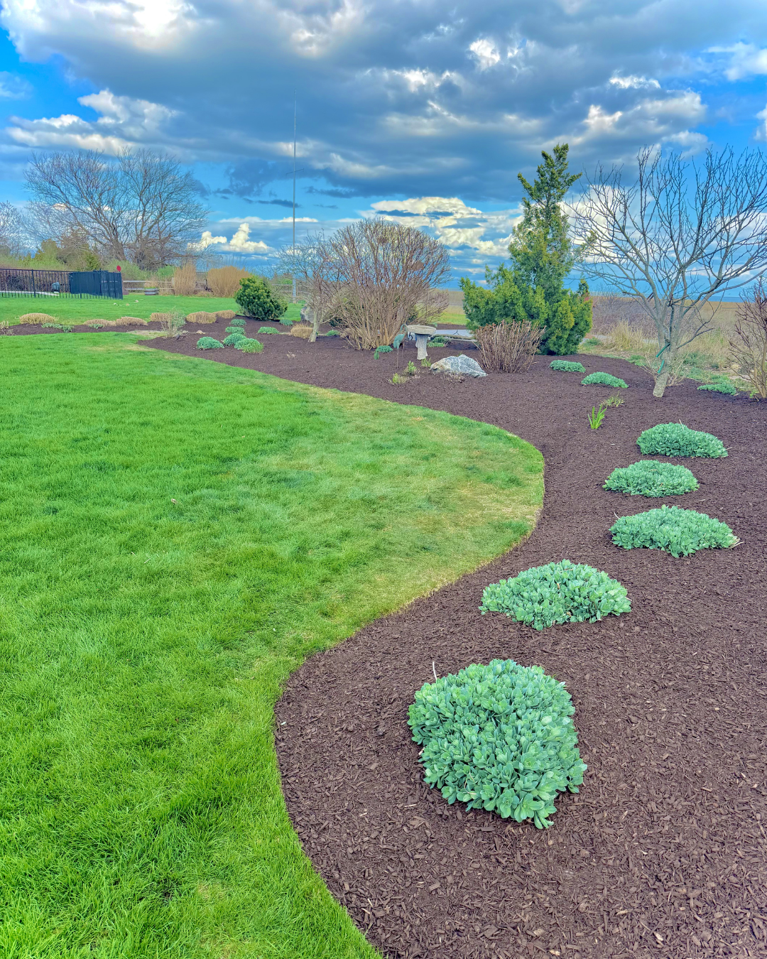 Weed, Edge & Mulch Project in Milford, CT