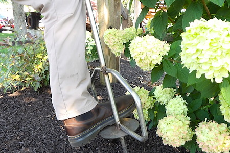 Plant Health Care Thumb