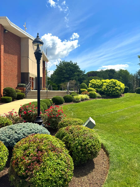 Commercial Maintenance Thumbnail