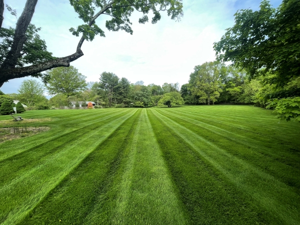 Local Fairfield lawn care