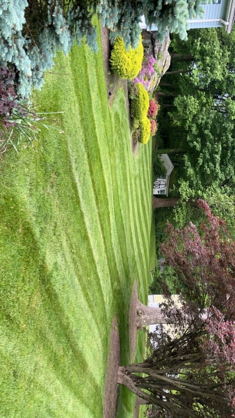 Unique lawn solutions for a residential lawn in New Haven County, CT