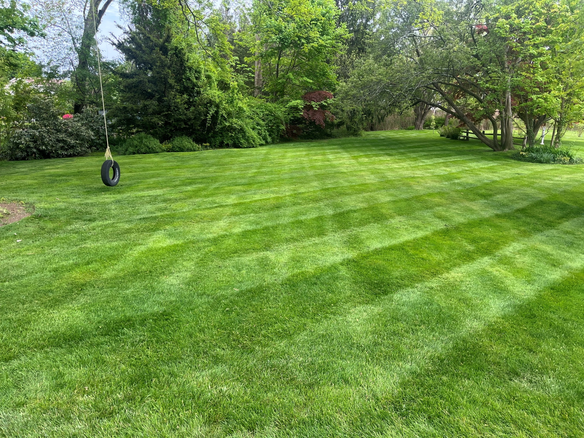 <?= $companyName ?> - Fairfield's Trusted Lawn Care and Weed Control Service Banner