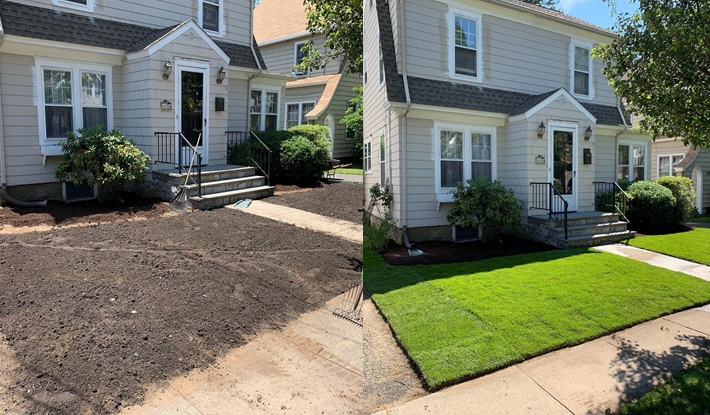 Before and after photo of the sod preparation and installation process.