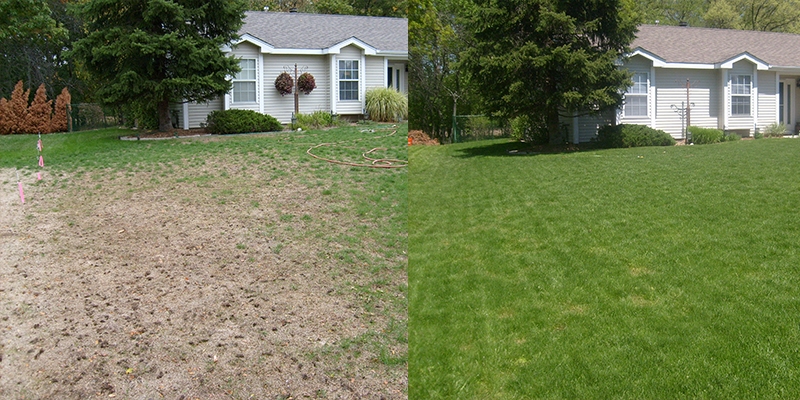 Before and after lawn restoration services from Shannon Lawn & Landscaping Inc.