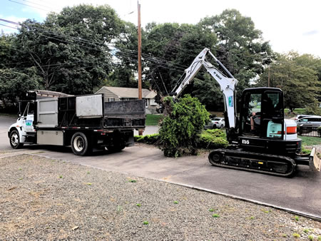 Removals & Clearings