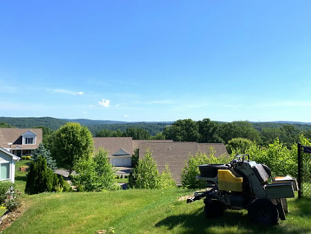 Lawn Fertilization & Weed Control