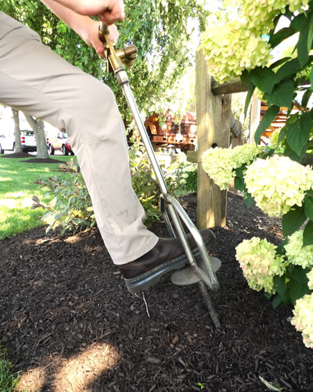 Plant Health Care Thumbnail