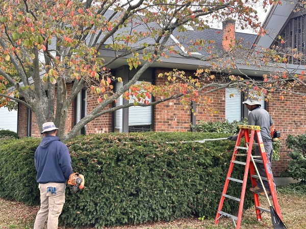 Seasonal pruning services near Stratford