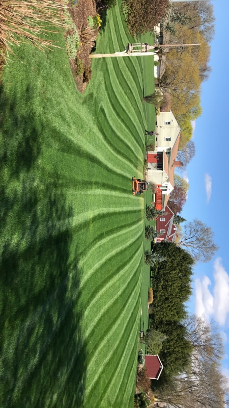 Expert lawn mowning services for New Haven County, CT