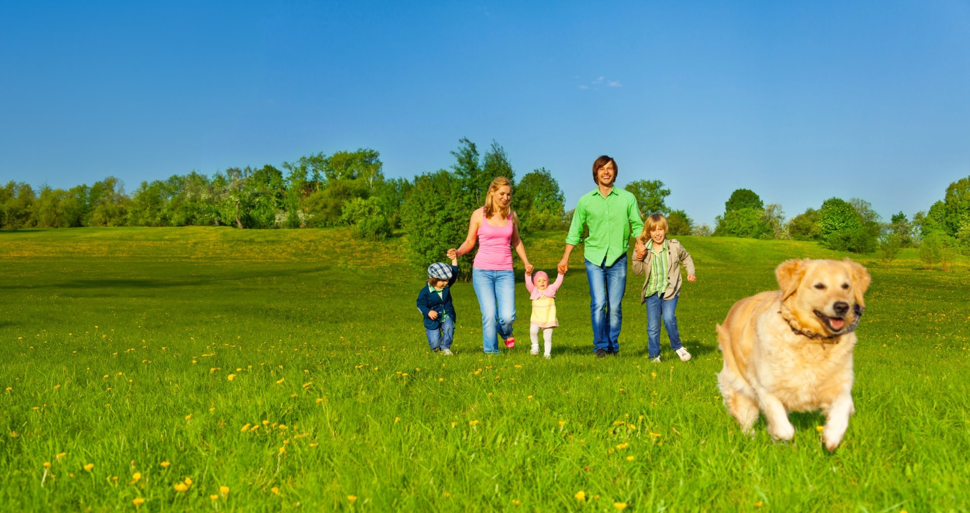 Shannon Lawn & Landscaping Inc. - Banner