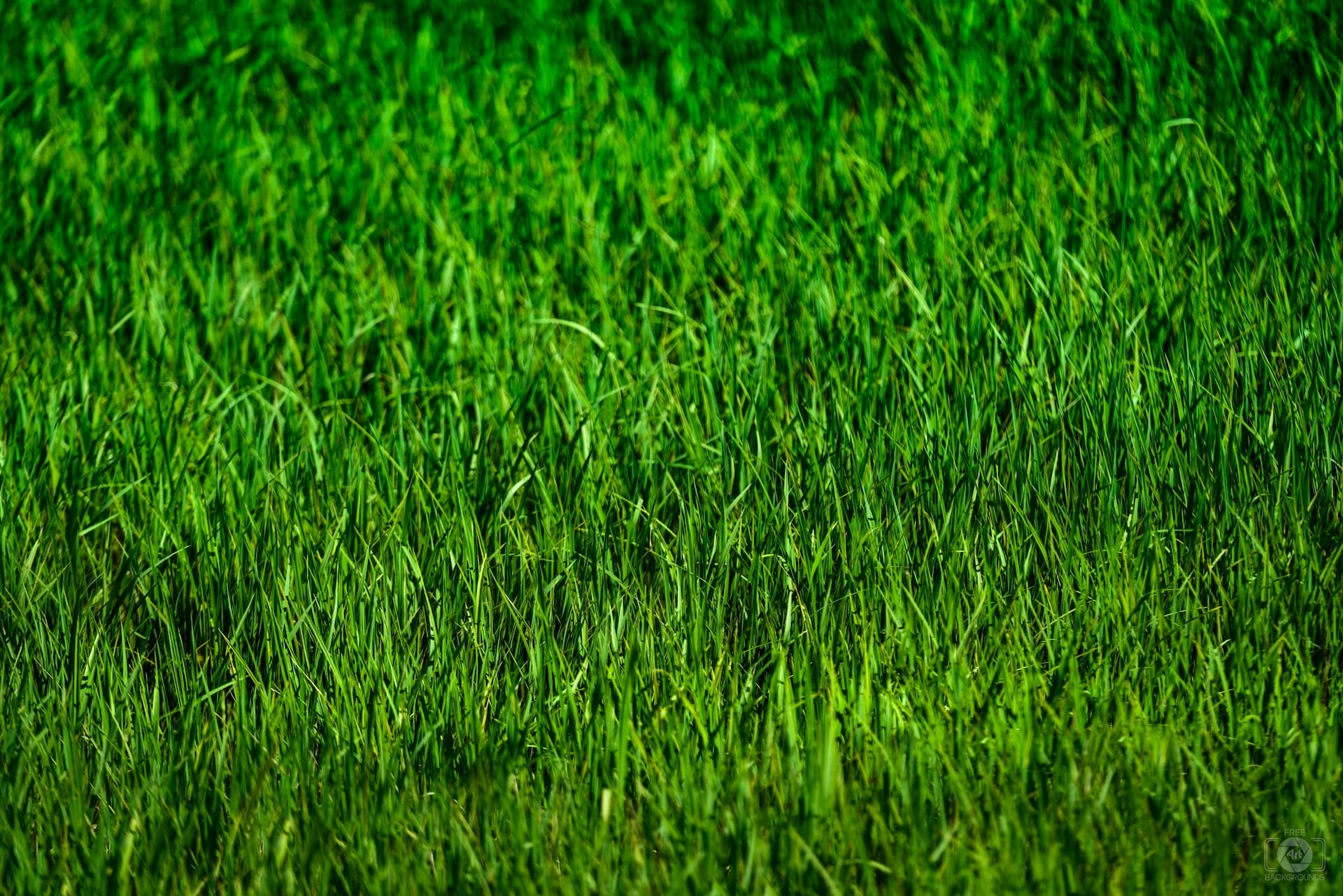 Shannon Lawn & Landscaping Inc. - Banner